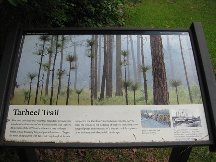 37 Tarheel Trail sign